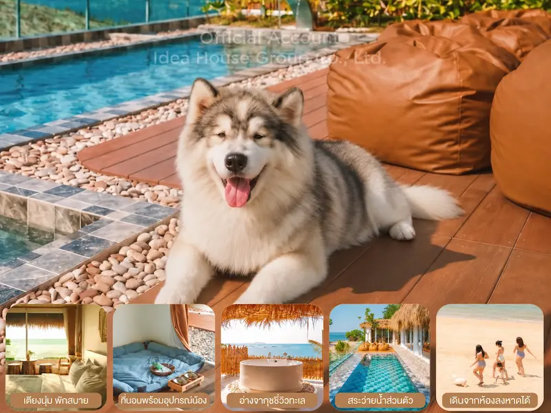 ภาพประกอบ:5 พูลวิลล่าบางแสน Pet Friendly หมาใหญ่พักได้จริง ติดทะเล อัปเดต 2569
