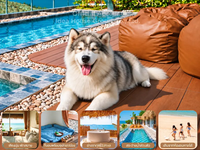 14 พูลวิลล่าบางแสน Pet Friendly หมาใหญ่พักได้จริง ติดทะเล อัปเดต 2569
