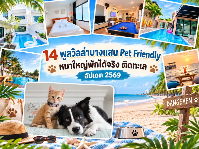 14 พูลวิลล่าบางแสน Pet Friendly หมาใหญ่พักได้จริง ติดทะเล อัปเดต 2569