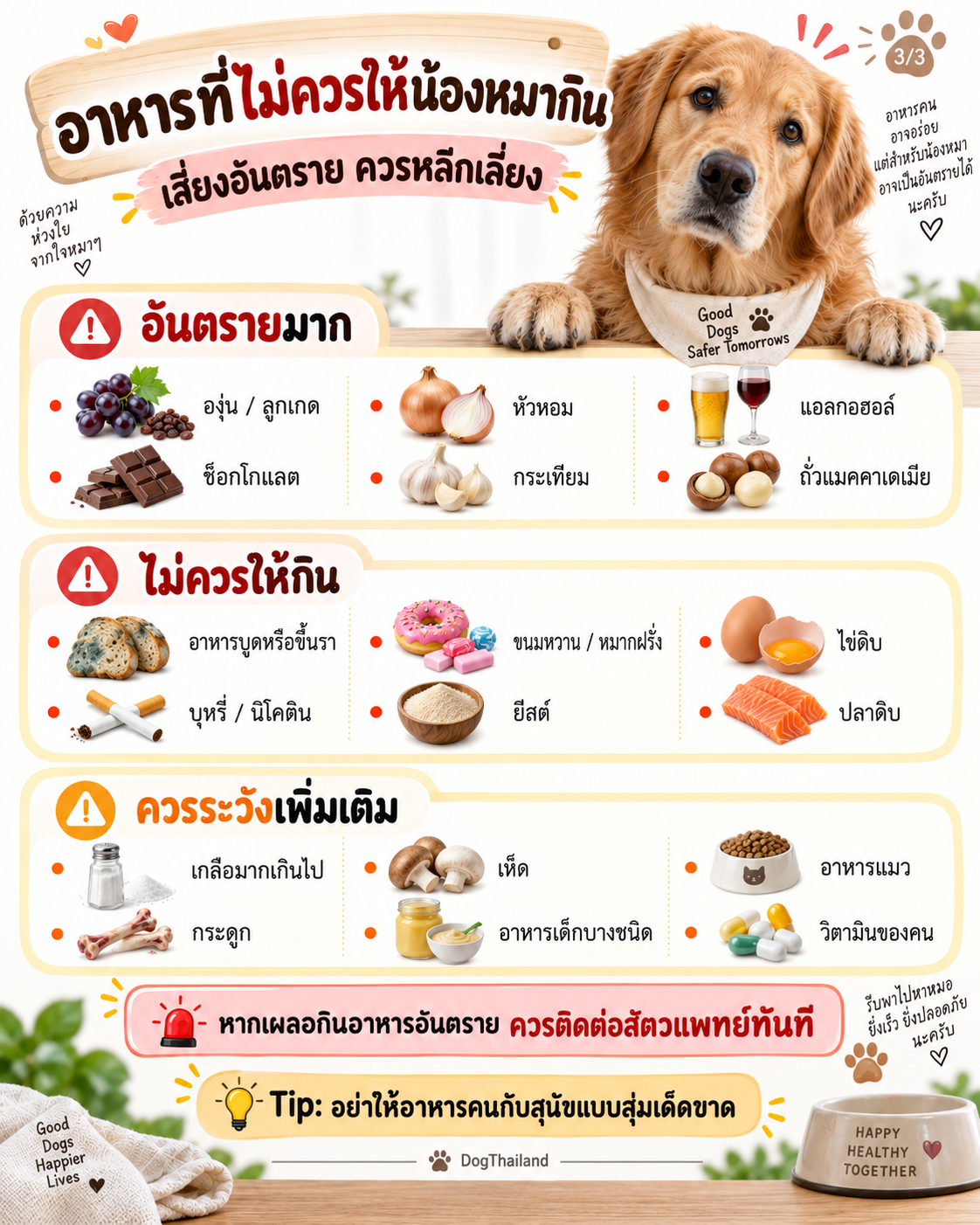 ผัก ผลไม้ น้องหมากินได้ ที่มีประโยชน์ มีอะไรบ้าง มารู้กัน สุขภาพแข็งแรง