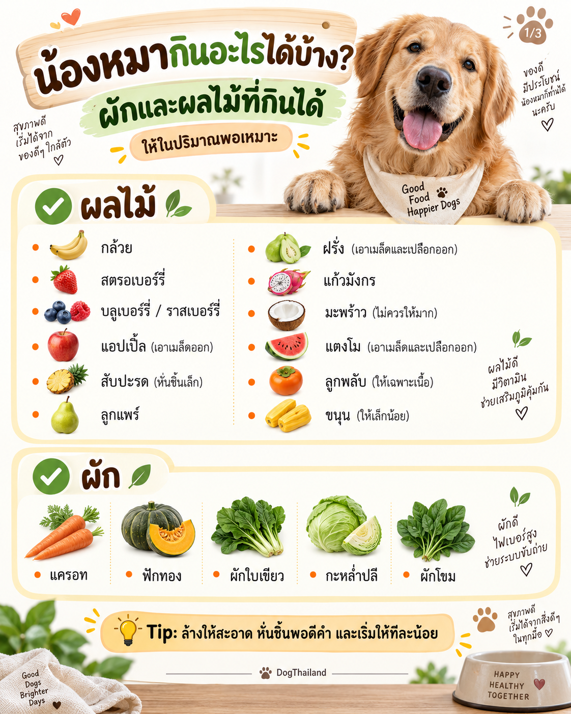 ผัก ผลไม้ น้องหมากินได้ ที่มีประโยชน์ มีอะไรบ้าง มารู้กัน สุขภาพแข็งแรง