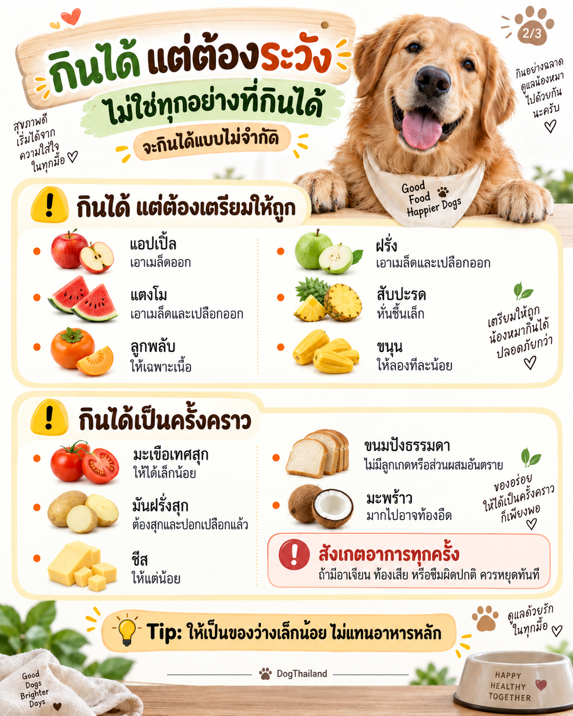 ผัก ผลไม้ น้องหมากินได้ ที่มีประโยชน์ มีอะไรบ้าง มารู้กัน สุขภาพแข็งแรง