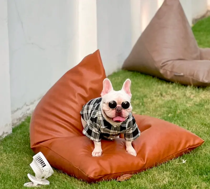 Away-Bangkok-Riverside-Kene-petfriendly .webp