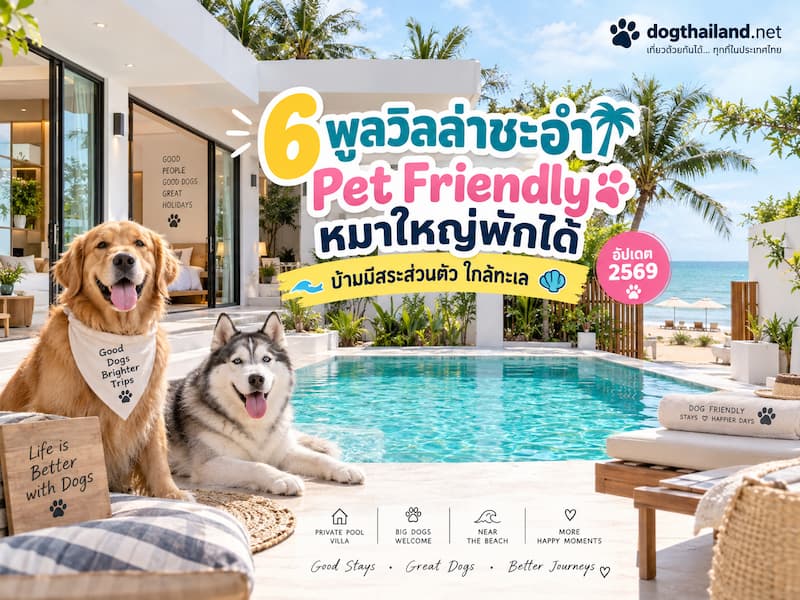 ภาพประกอบ:6 พูลวิลล่าชะอำ Pet Friendly หมาใหญ่พักได้ บ้านมีสระส่วนตัว ใกล้ทะเล อัปเดต 2569