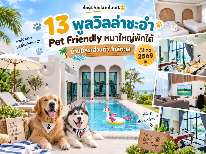 13 พูลวิลล่าชะอำ Pet Friendly หมาใหญ่พักได้ บ้านมีสระส่วนตัว ใกล้ทะเล อัปเดต 2569