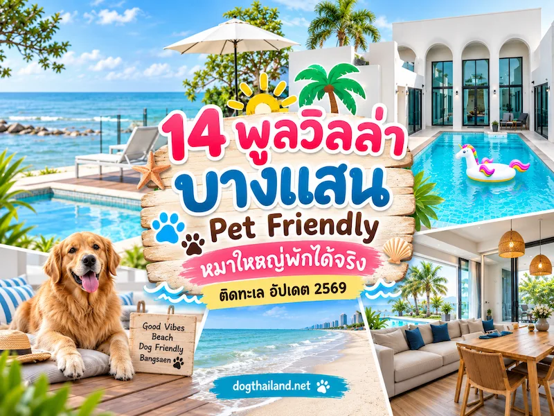 14 พูลวิลล่าบางแสน Pet Friendly หมาใหญ่พักได้จริง ติดทะเล อัปเดต 2569