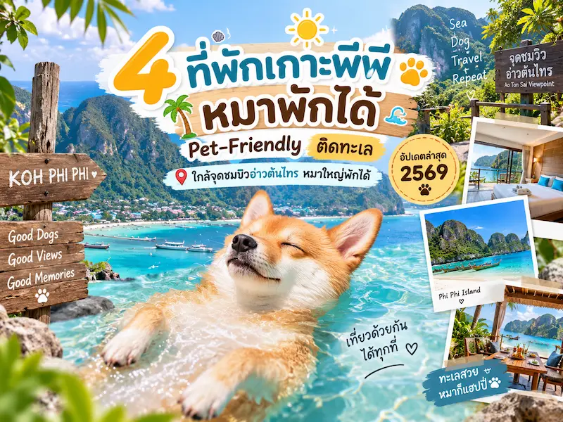 4 ที่พักเกาะพีพี หมาพักได้ Pet-Friendly ติดทะเล ใกล้จุดชมวิวอ่าวต้นไทร หมาใหญ่พักได้ อัปเดตล่าสุด