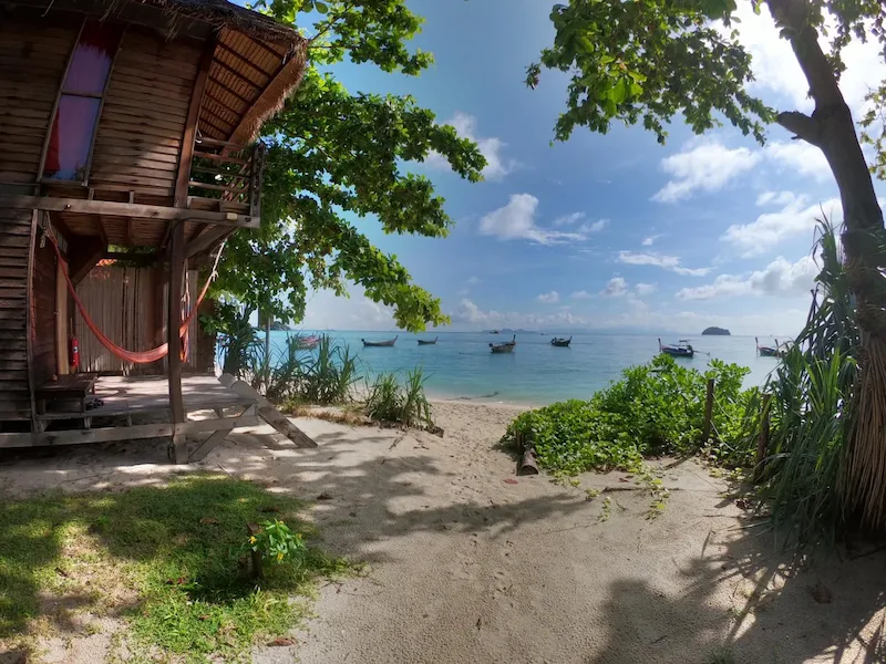 14 ที่พักเกาะหลีเป๊ะหมาพักได้ Pet Friendly ติดทะเล หมาใหญ่พักได้ อัปเดตล่าสุด
