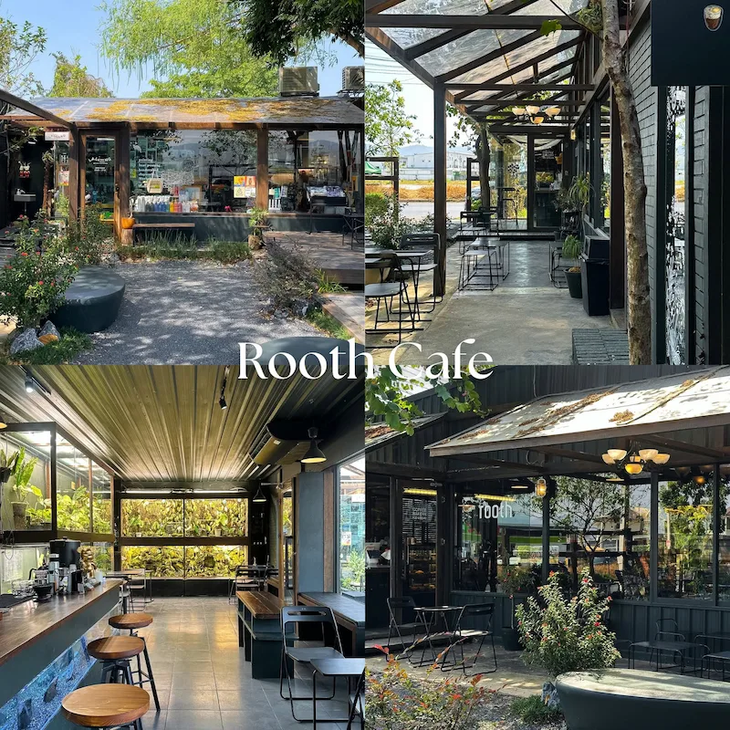 20 คาเฟ่บางแสน–ศรีราชา Pet Friendly หมาเข้าได้ทั้งห้องแอร์และ Outdoor มีร้านรับหมาใหญ่