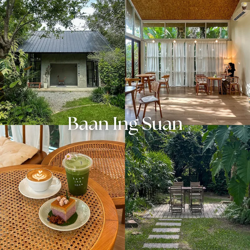 20 คาเฟ่บางแสน–ศรีราชา Pet Friendly หมาเข้าได้ทั้งห้องแอร์และ Outdoor มีร้านรับหมาใหญ่