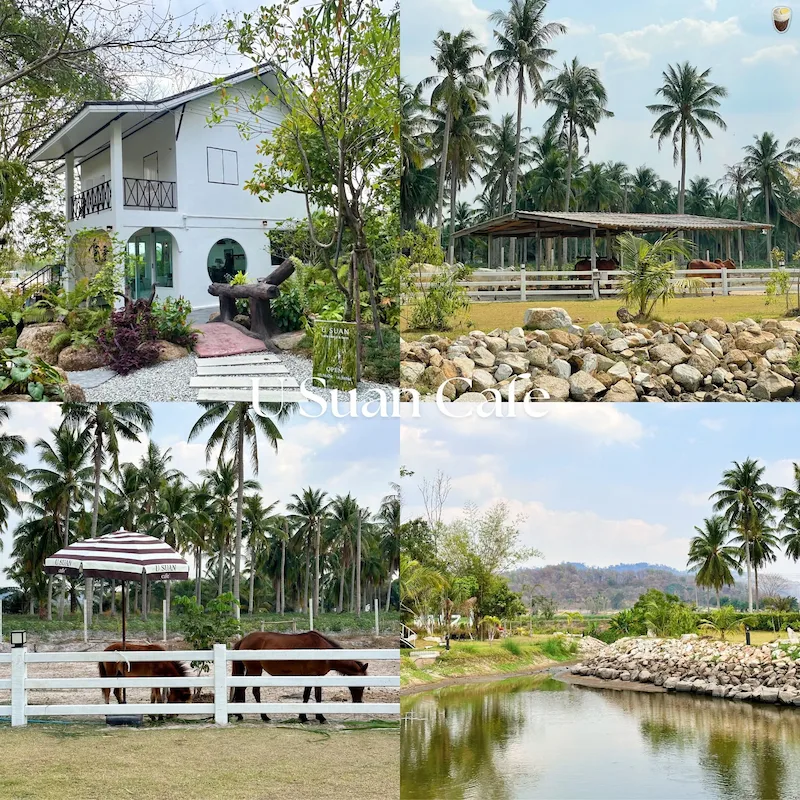20 คาเฟ่บางแสน–ศรีราชา Pet Friendly หมาเข้าได้ทั้งห้องแอร์และ Outdoor มีร้านรับหมาใหญ่