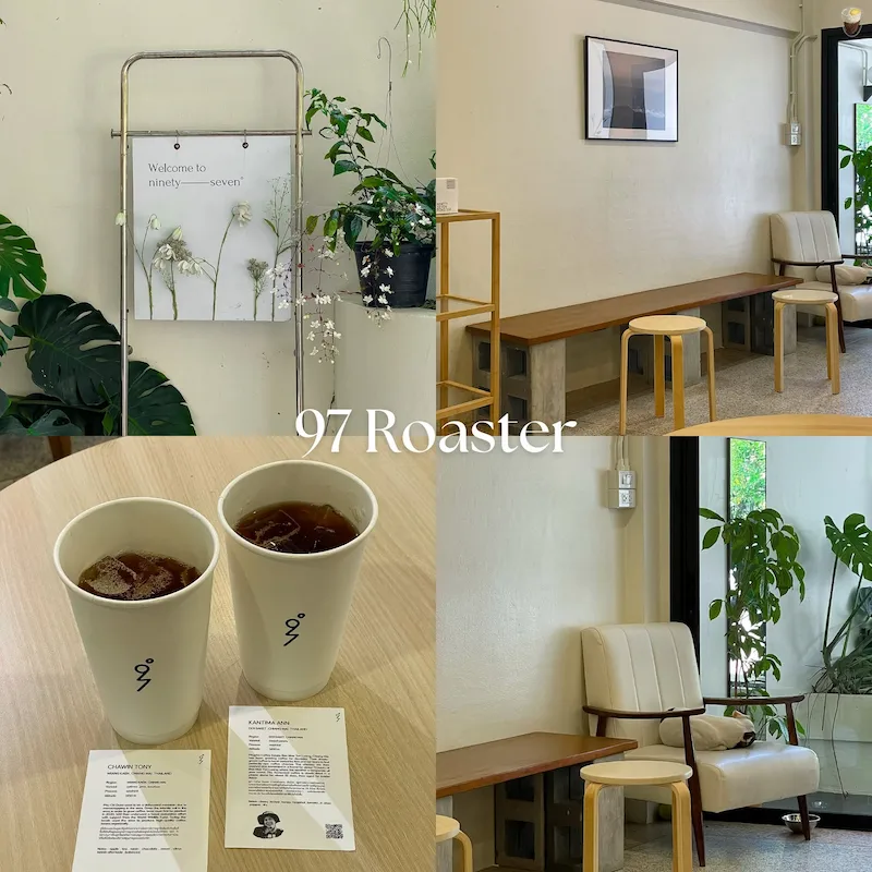 20 คาเฟ่บางแสน–ศรีราชา Pet Friendly หมาเข้าได้ทั้งห้องแอร์และ Outdoor มีร้านรับหมาใหญ่