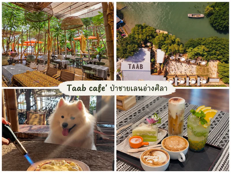20 คาเฟ่บางแสน–ศรีราชา Pet Friendly ติดทะเล วิวทะเล หมาเข้า ...