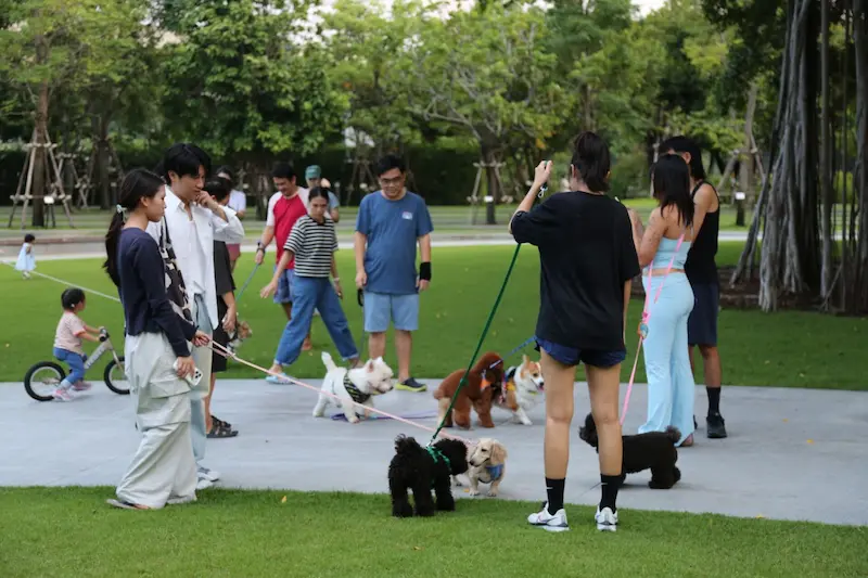 สวนเปรมประชาวนารักษ์ หลักสี่ Pet Friendly สวนใหม่กรุงเทพ พาหมาเข้าได้ เดินเล่นริมคลอง