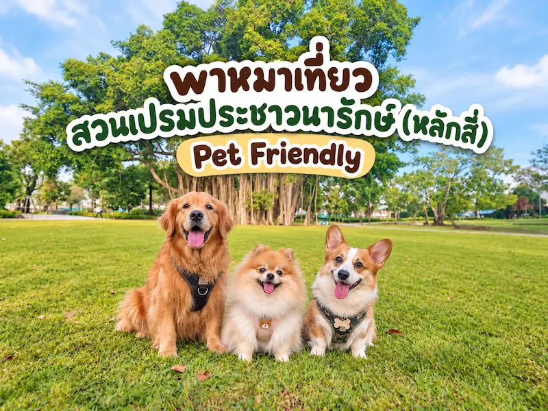 สวนเปรมประชาวนารักษ์ หลักสี่ Pet Friendly สวนใหม่กรุงเทพ พาหมาเข้าได้ เดินเล่นริมคลอง