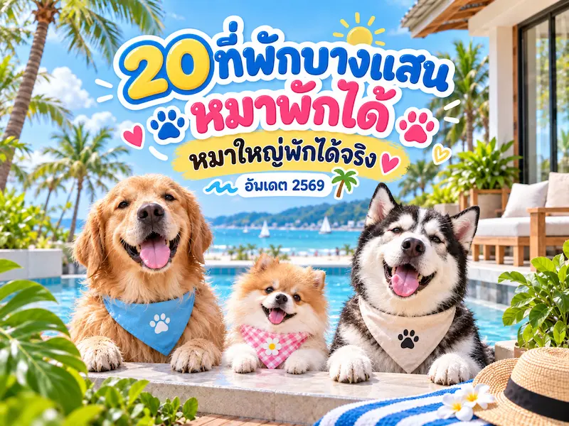 20 ที่พักบางแสน หมาพักได้ “หมาใหญ่พักได้จริง” วิวทะเล อัปเดต 2569