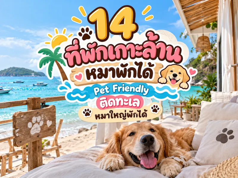 14 ที่พักเกาะล้านหมาพักได้ Pet Friendly ติดทะเล หมาใหญ่พักได้ อัปเดต 2569