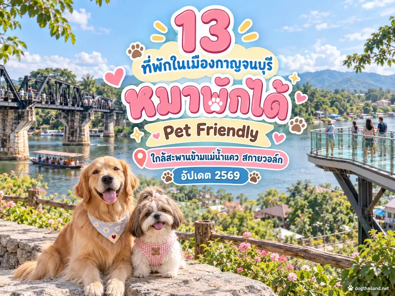 ที่พักในเมืองกาญจนบุรี-หมาพักได้-Pet-Friendly.webp