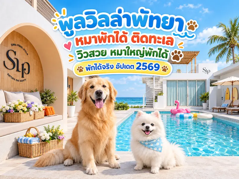 พูลวิลล่าพัทยา หมาพักได้ ติดทะเล วิวสวย หมาใหญ่ พักได้จริง อัปเดต 2569