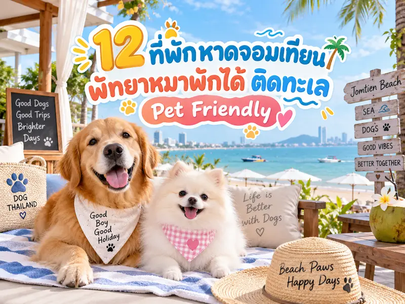 12 ที่พักหาดจอมเทียน พัทยาหมาพักได้ ติดทะเล Pet Friendly ใกล้กรุงเทพ หมาใหญ่พักได้ อัปเดต 2569