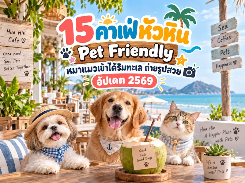 15 คาเฟ่หัวหิน Pet Friendly หมาแมวเข้าได้ริมทะเล ถ่ายรูปสวย อัปเดต 2569