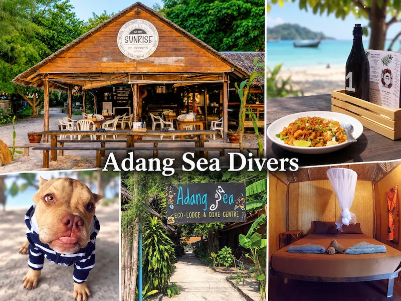 14 ที่พักเกาะหลีเป๊ะหมาพักได้ Pet Friendly ติดทะเล หมาใหญ่พักได้ อัปเดตล่าสุด 2569