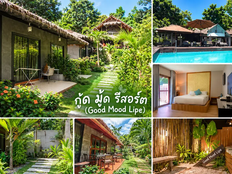 14 ที่พักเกาะหลีเป๊ะหมาพักได้ Pet Friendly ติดทะเล หมาใหญ่พักได้ อัปเดตล่าสุด