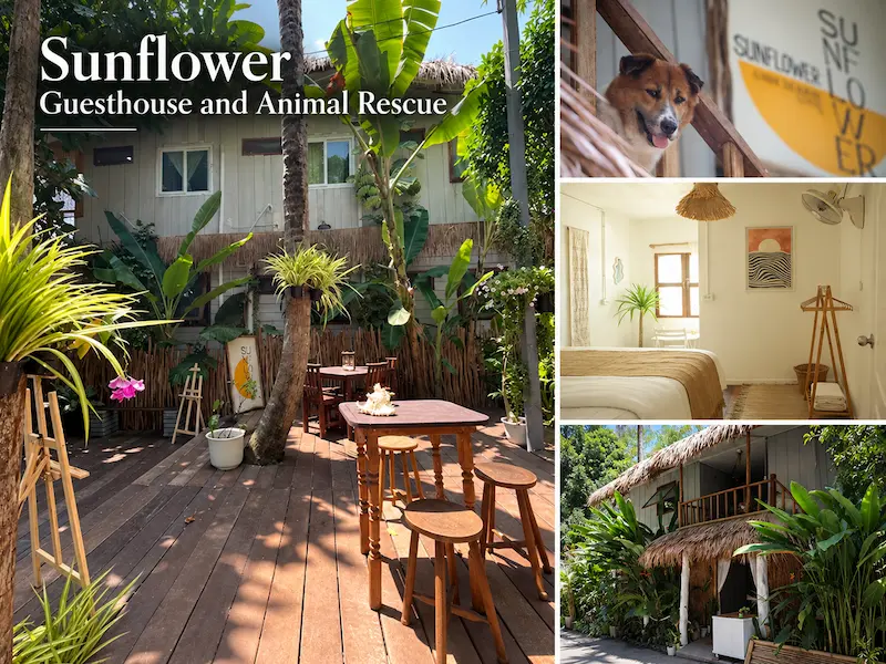 14 ที่พักเกาะหลีเป๊ะหมาพักได้ Pet Friendly ติดทะเล หมาใหญ่พักได้ อัปเดตล่าสุด