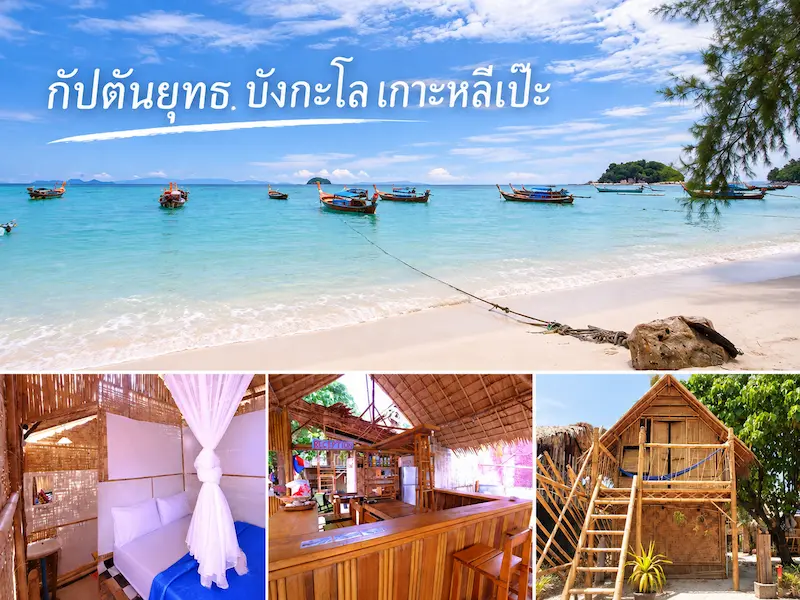 14 ที่พักเกาะหลีเป๊ะหมาพักได้ Pet Friendly ติดทะเล หมาใหญ่พักได้ อัปเดตล่าสุด