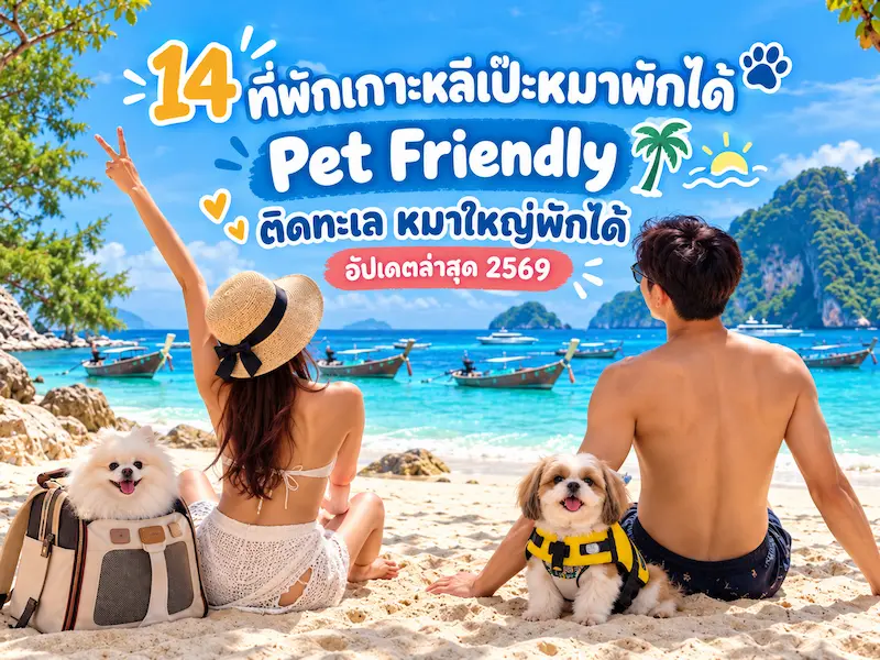 14 ที่พักเกาะหลีเป๊ะหมาพักได้ Pet Friendly ติดทะเล หมาใหญ่พักได้ อัปเดตล่าสุด