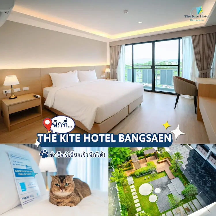 10 ที่พัก Pet Friendly วิวทะเล ใกล้กรุงเทพฯ หมาใหญ่พักได้ อัปเดต 2569 (พัทยา หัวหิน บางแสน ระยอง)