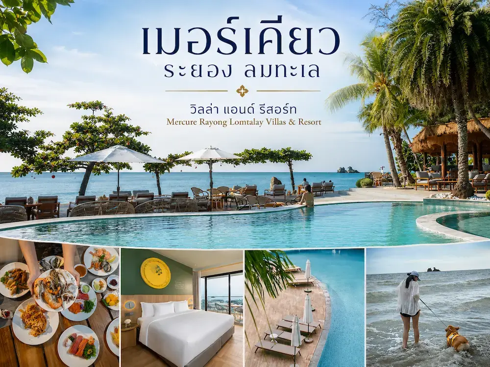 10 ที่พัก Pet Friendly วิวทะเล ใกล้กรุงเทพฯ หมาใหญ่พักได้ อัปเดต 2569 (พัทยา หัวหิน บางแสน ระยอง)