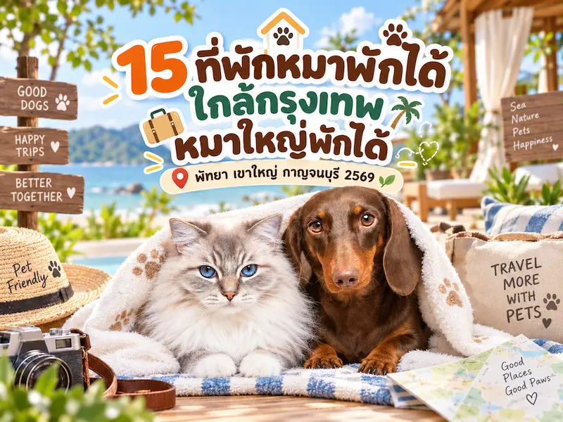 15 ที่พักหมาพักได้ ใกล้กรุงเทพ หมาใหญ่พักได้ | พัทยา เขาใหญ่ กาญจนบุรี 2569