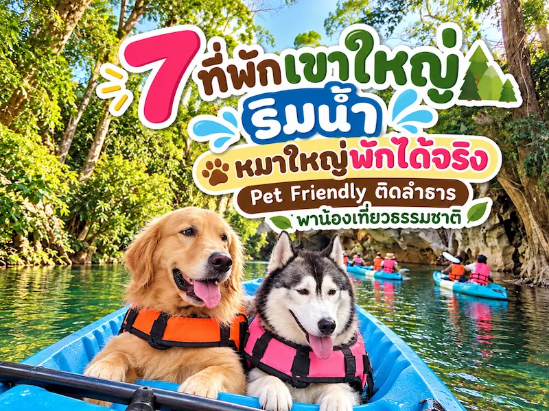 7 ที่พักเขาใหญ่ หมาใหญ่พักได้จริง Pet Friendly ติดลำธาร ริมน้ำ อัปเดต 2569