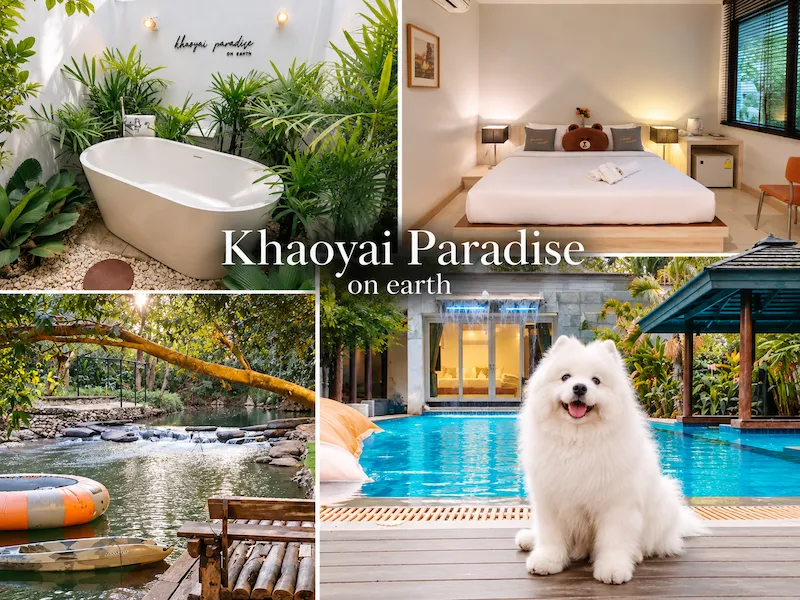 7 ที่พักเขาใหญ่ริมน้ำ หมาใหญ่พักได้จริง Pet Friendly ติดลำธาร อัปเดต 