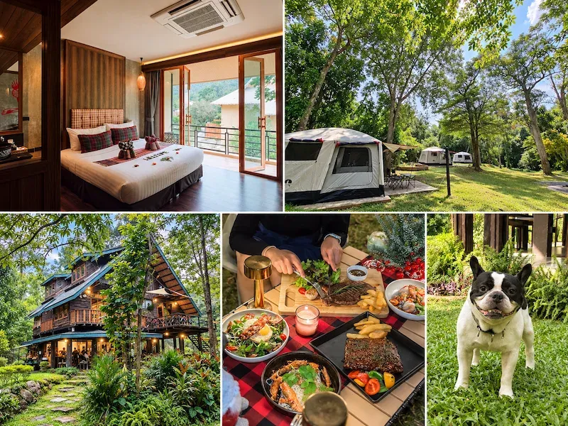 7 ที่พักเขาใหญ่ริมน้ำ หมาใหญ่พักได้จริง Pet Friendly ติดลำธาร อัปเดต 