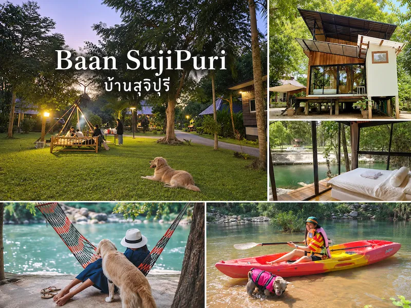 7 ที่พักเขาใหญ่ริมน้ำ หมาใหญ่พักได้จริง Pet Friendly ติดลำธาร อัปเดต 