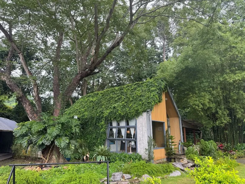 10 คาเฟ่เขาใหญ่ Pet Friendly พาหมาเข้าได้ มีทั้งห้องแอร์ สนามหญ้า และคาเฟ่ธรรมชาติ 2569
