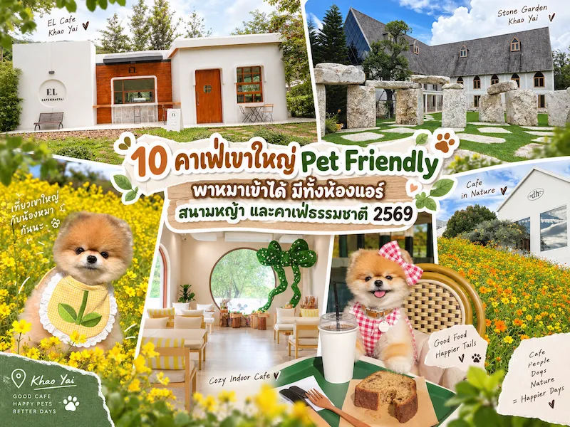 ภาพประกอบ:10 คาเฟ่เขาใหญ่ Pet Friendly หมาเข้าได้ มีทั้งห้องแอร์ สนามหญ้า และคาเฟ่ธรรมชาติ 2569