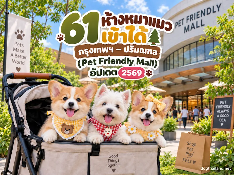 ห้างสรรพสินค้ากรุงเทพ-petfriendly.webp