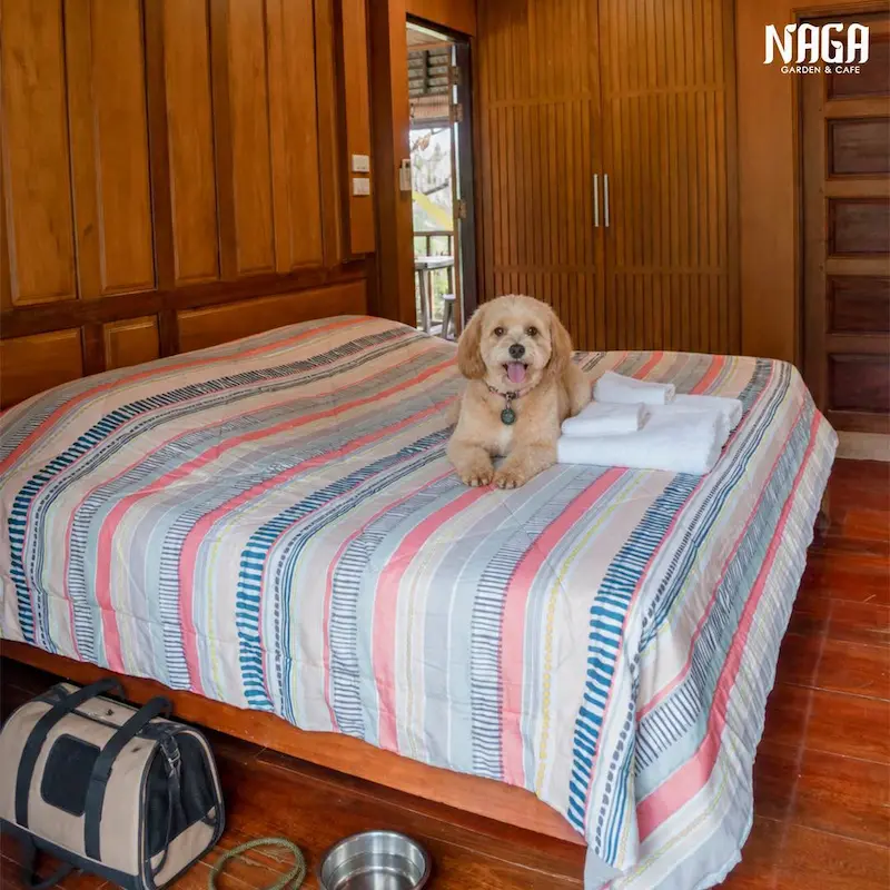 Naga Garden Resort บางแสน Pet Friendly ที่พักหมาใหญ่พักได้ มีคาเฟ่ ร้านอาหาร อร่อย