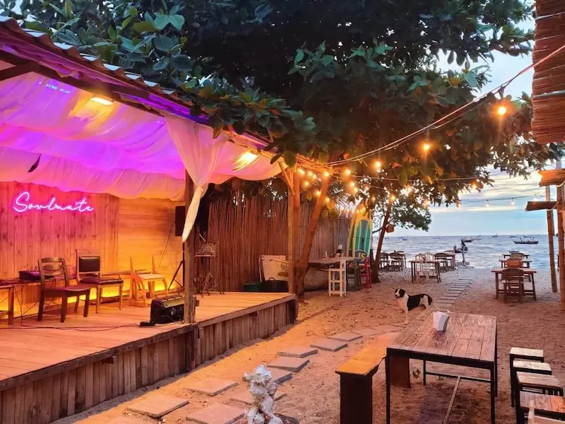 18 ร้านอาหารบางแสน–ศรีราชา Pet Friendly ติดทะเล วิวทะเล หมาเข้าได้ มีร้านรับหมาใหญ่ อัปเดต 2569