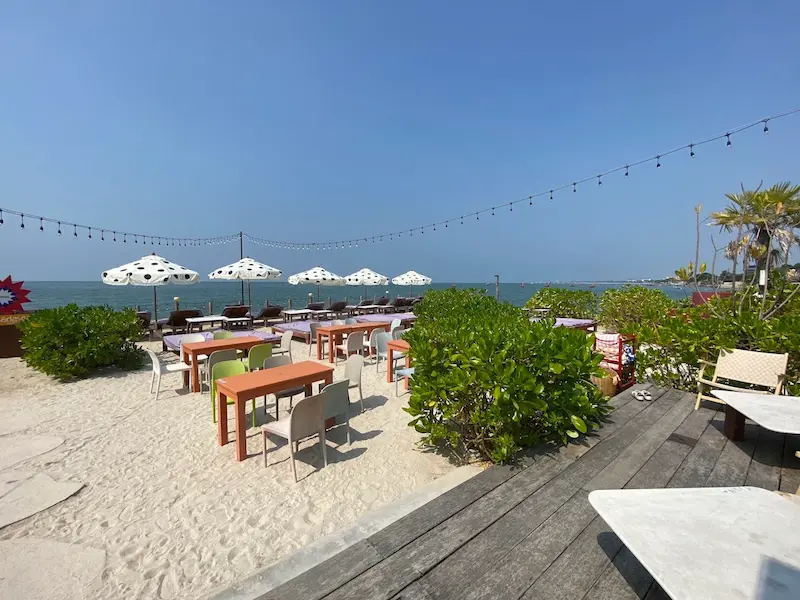 18 ร้านอาหารบางแสน–ศรีราชา Pet Friendly ติดทะเล วิวทะเล หมาเข้าได้ มีร้านรับหมาใหญ่ อัปเดต 2569