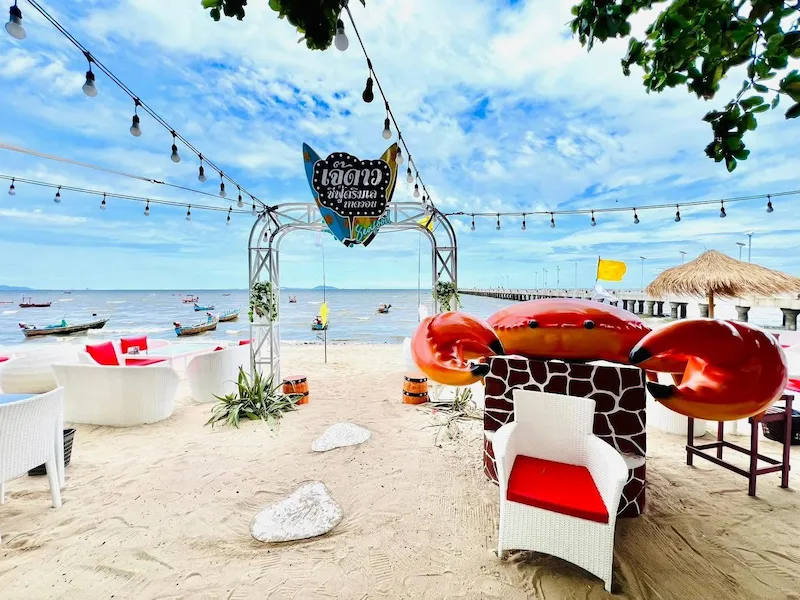18 ร้านอาหารบางแสน–ศรีราชา Pet Friendly ติดทะเล วิวทะเล หมาเข้าได้ มีร้านรับหมาใหญ่ อัปเดต 2569