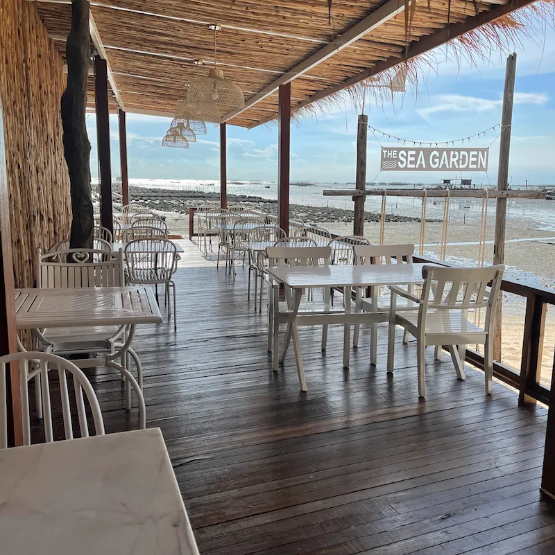 18 ร้านอาหารบางแสน–ศรีราชา Pet Friendly ติดทะเล วิวทะเล หมาเข้าได้ มีร้านรับหมาใหญ่ อัปเดต 2569
