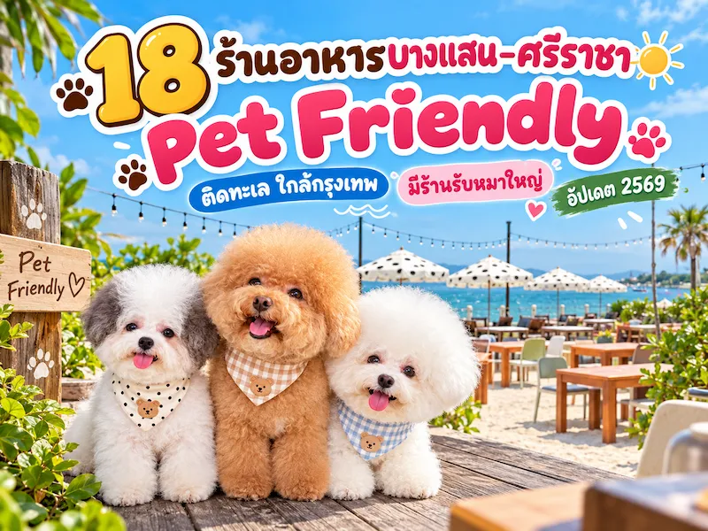 18 ร้านอาหารบางแสน–ศรีราชา Pet Friendly ติดทะเล ใกล้กรุงเทพ มีร้านรับหมาใหญ่ อัปเดต 2569