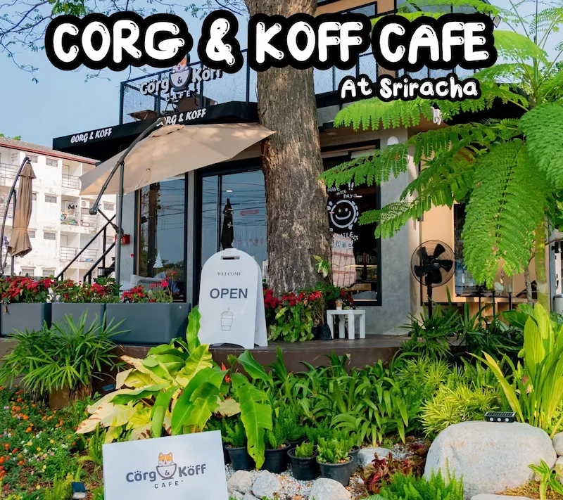20 คาเฟ่บางแสน–ศรีราชา Pet Friendly ติดทะเล วิวทะเล หมาเข้าได้ทั้งห้องแอร์และ Outdoor มีร้านรับหมาใหญ่ อัปเดต 2569