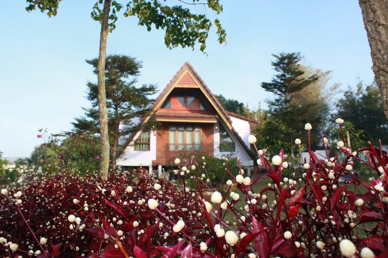 กรีนฮิลล์-รีสอร์ท ภูเรือ-หมาพักได้.webp