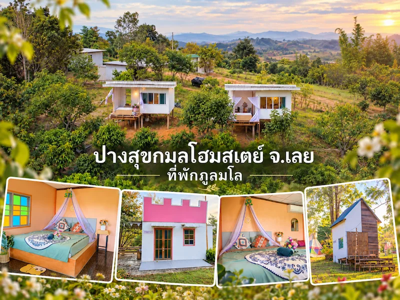 ปางสุขกมลโฮมสเตย์-เลย-ที่พักภูลมโล-หมาพักได้.webp