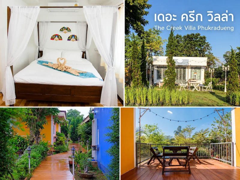 เดอะ-ครีก-วิลล่า-ภูเรือหมาพักได้.webp